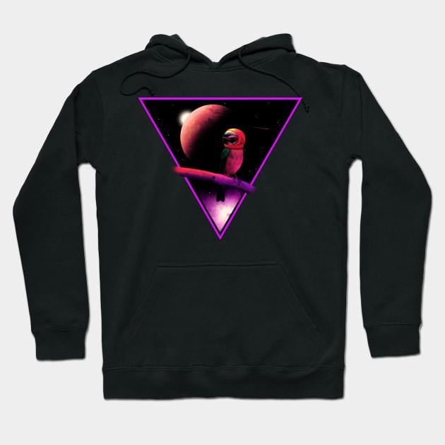 Bird Space Hoodie by Sachpica